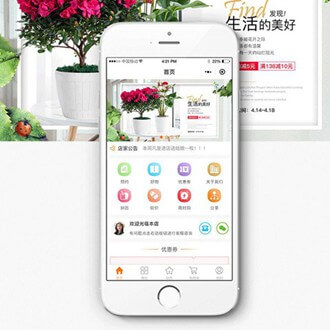 安图门店微商城小程序开发