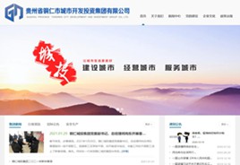 安图城市开发投资集团有限公司