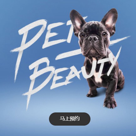 安图宠物中心小程序开发