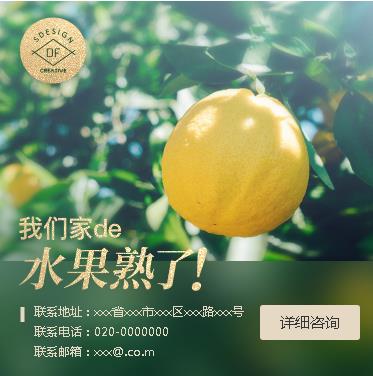 安图果园果林小程序开发